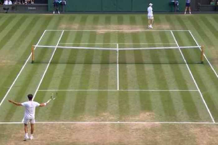 Wimbledon final halted as Jannik Sinner fumes and angry umpire addresses crowd