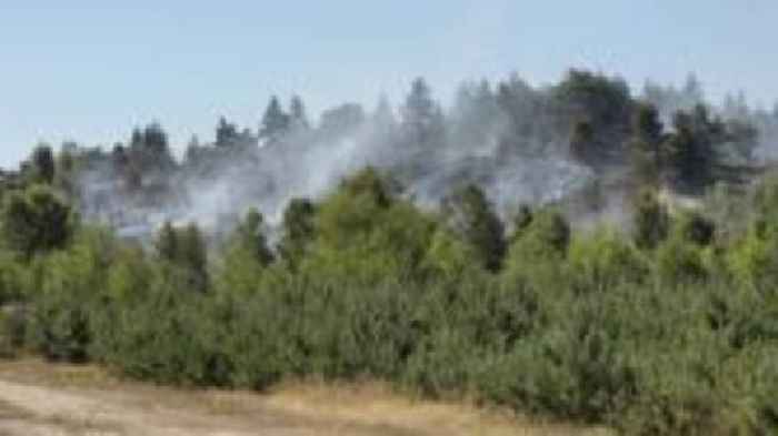 Burnt land will take decades to repair - charity
