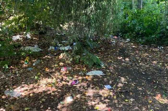 Leicester residents hit out at 'terrible' litter problem blighting park