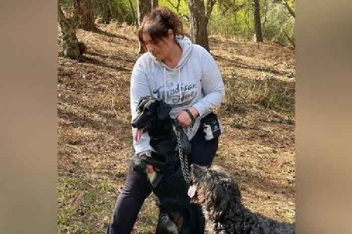 Dog expert praises woman after not walking pooch for 9 months
