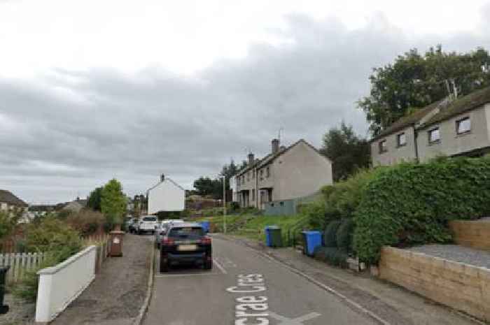 Woman assaulted and French bulldog stolen in Highlands home robbery
