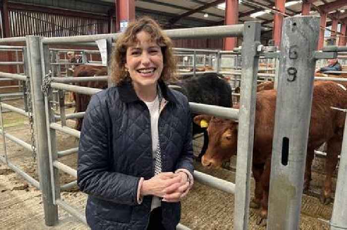 MP Victoria Atkins vows to fight against pylons in Lincolnshire Wolds