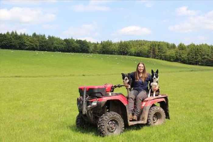 Professional Scots curler gives up Olympic dream as she swaps sport for life as farmer with 950 sheep