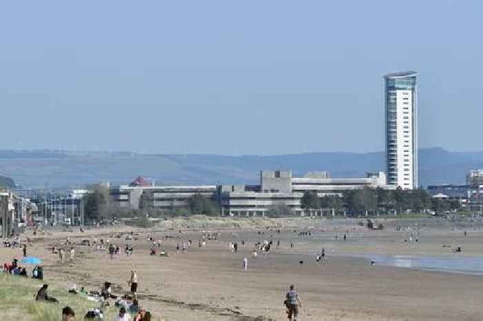 A deer that enchanted people in a Welsh city found dead on a beach