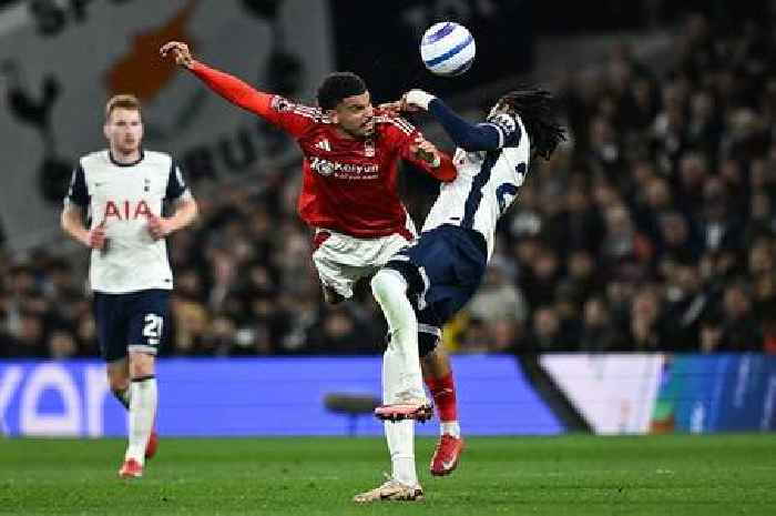 Morgan Gibbs-White Tottenham transfer and what it now means for key Ange Postecoglou duo