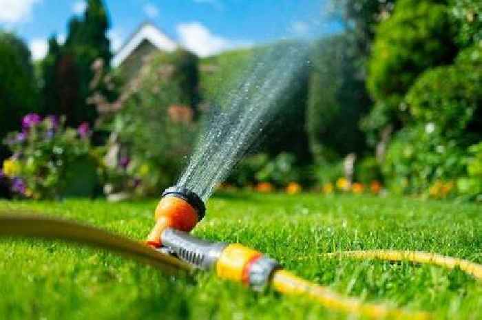 Households can avoid hosepipe ban with 'loophole' as more restrictions put in place