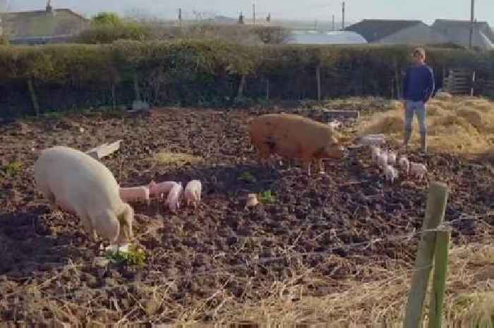 Channel 5 star emotionally reveals heartbreaking deaths of farm animals