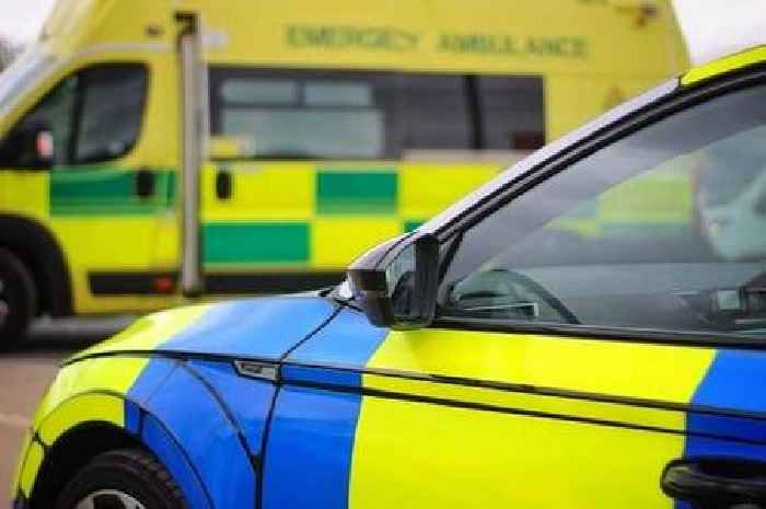 Stoke-on-Trent dog attack leaves woman with 'serious' injuries