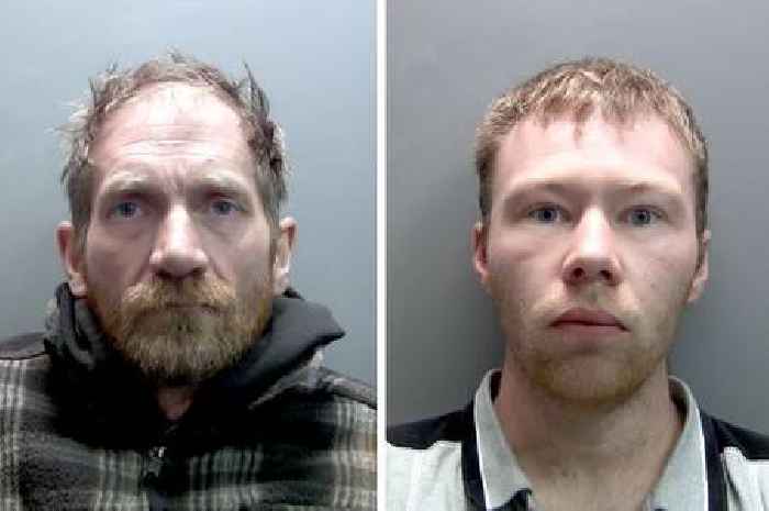Two men who cut down Sycamore Gap tree jailed for more than four years