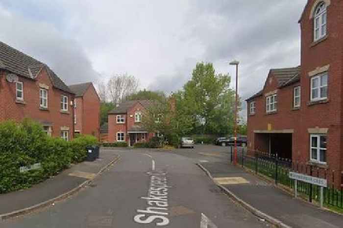 Teens arrested after gun and zombie knife found in Birmingham police dawn raid