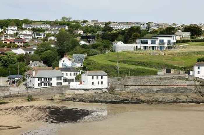 Dog dies after falling from cliff at Cornwall beach