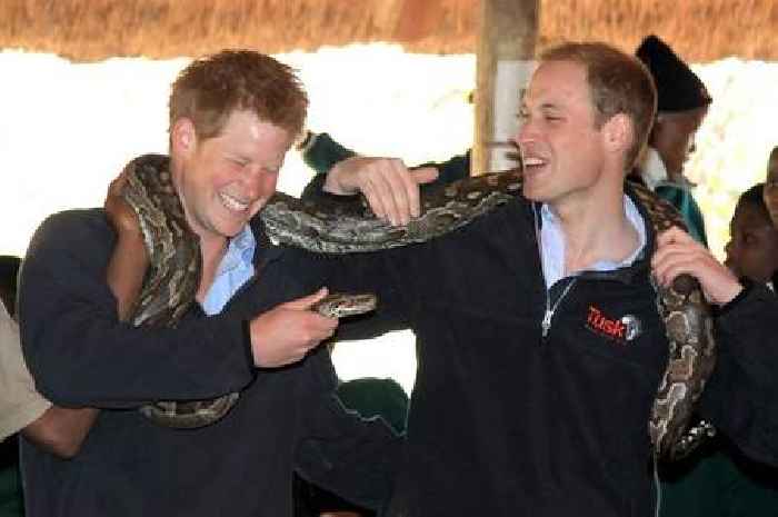 Prince Harry and Prince William urged to reconcile to prevent 'incalculable damage'