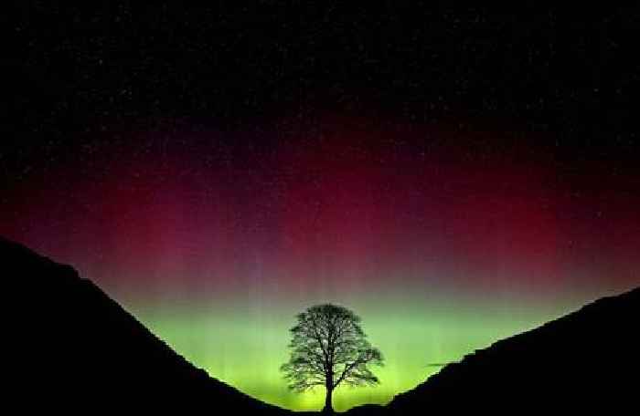 Pair who felled Sycamore Gap tree jailed for over four years