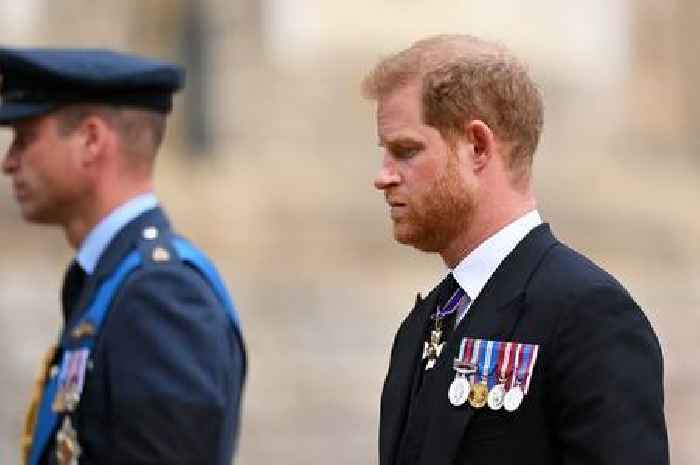 Prince Harry's 'secret weapon' that could help mend royal rift with Charles and William