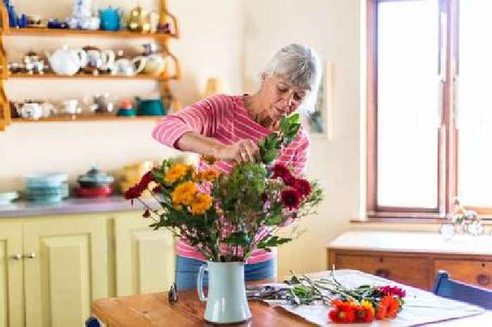 Stop flowers wilting in summer heat with these cheap and simple hacks