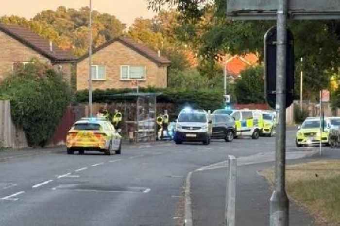Man arrested as armed police descend on Cardiff street