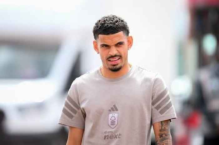 Morgan Gibbs-White transfer can fix three Tottenham problems