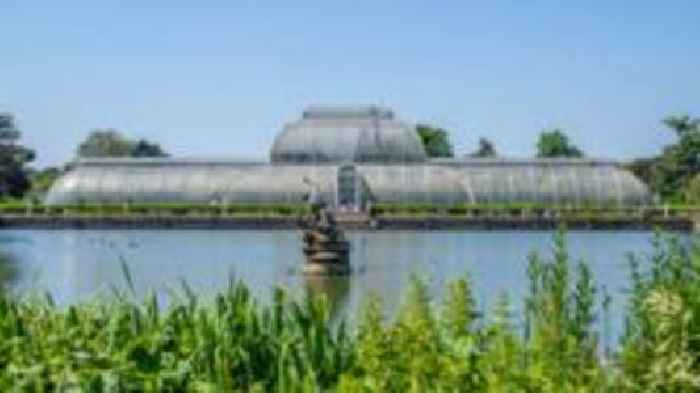 Kew Gardens' Palm House will close for five years for major makeover