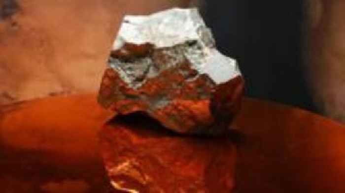 Largest Mars rock ever found on Earth sells for $4.3m at auction