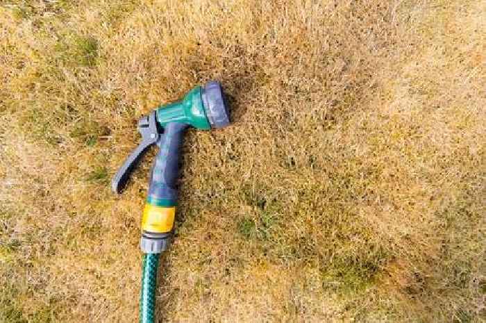 Severn Trent responds to 'hosepipe ban' fears as drought hits Leicestershire