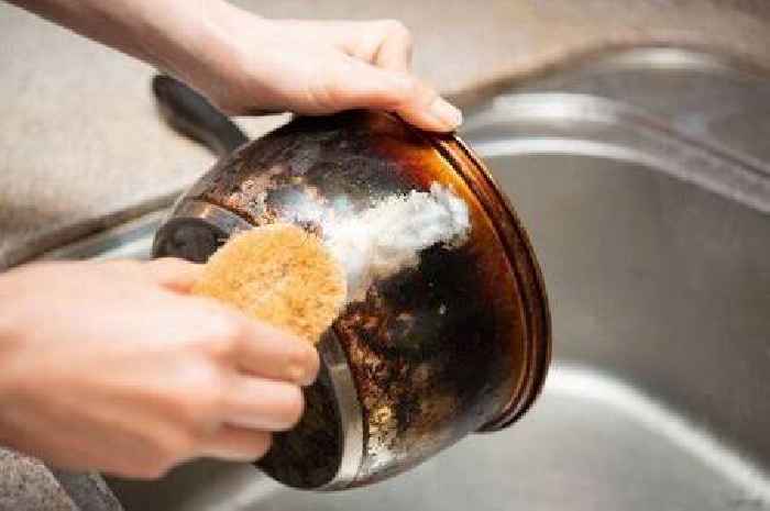 Remove rust from pots and pans with common vegetable you can grow