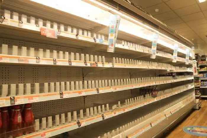 Staffordshire woman, 20, bailed over cyber attacks on M&S, Co-op and Harrods