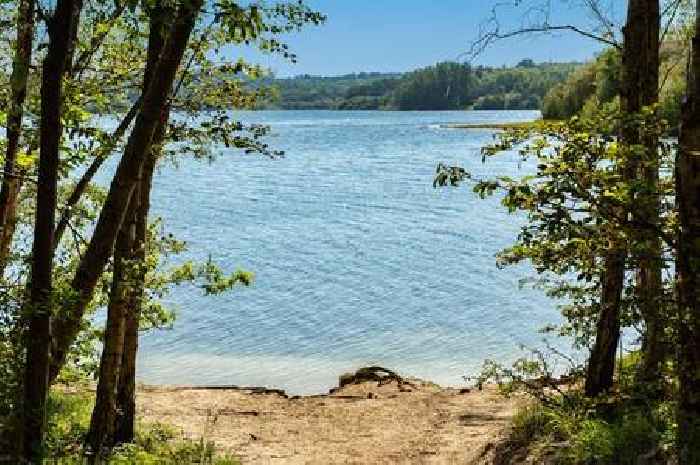 Parish council loses High Court fight against 80-pitch campsite at Kent beauty spot