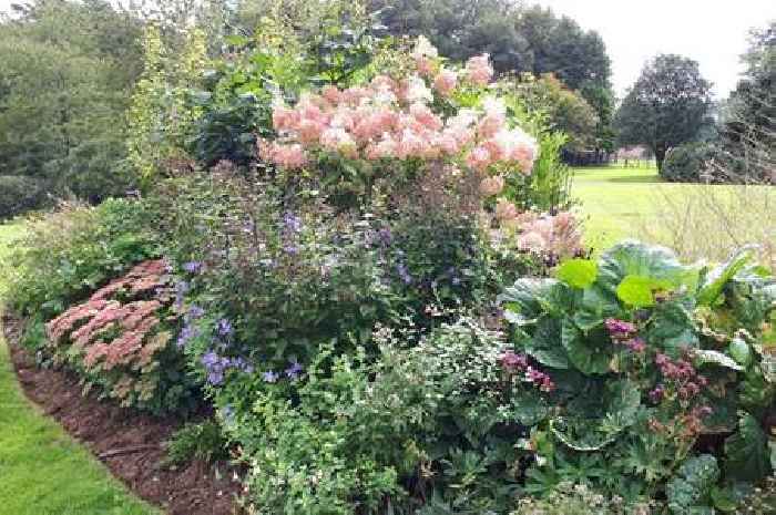 Dumfries and Galloway garden to open for charity under Scotland’s Gardens Scheme