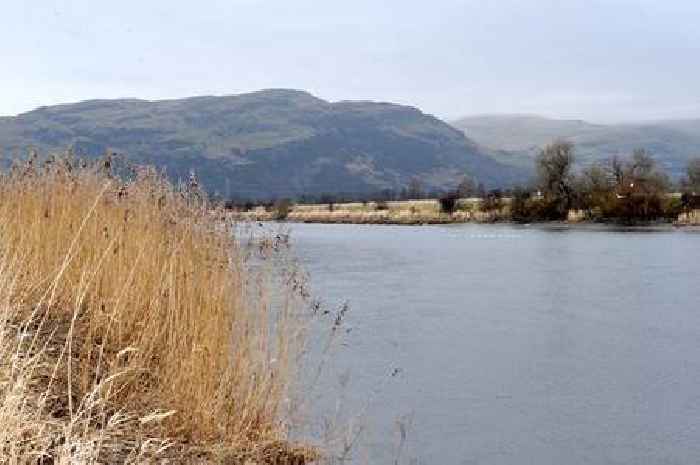 Neighbour jailed for murder bid after man pushed off Cambuskenneth Bridge