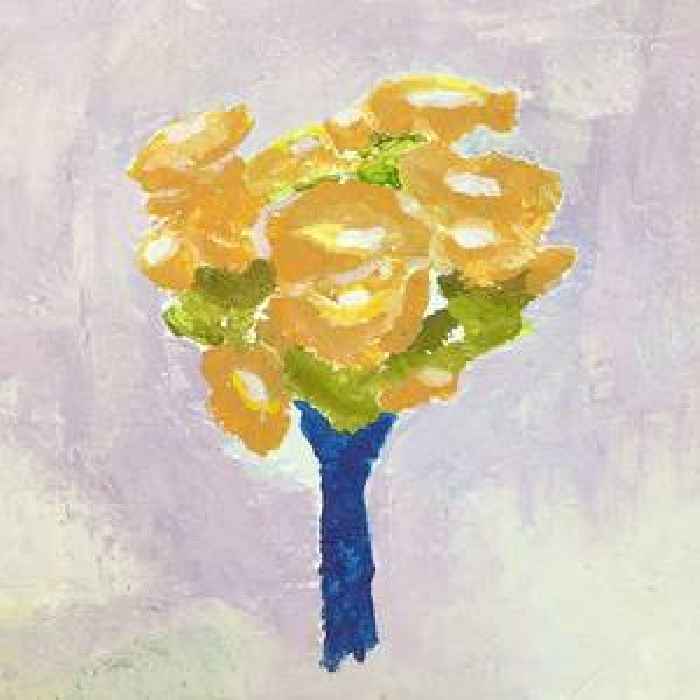 runo plum – “Lemon Garland”