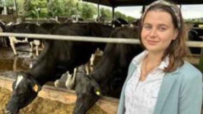 Researchers hope ear tags will improve goat welfare