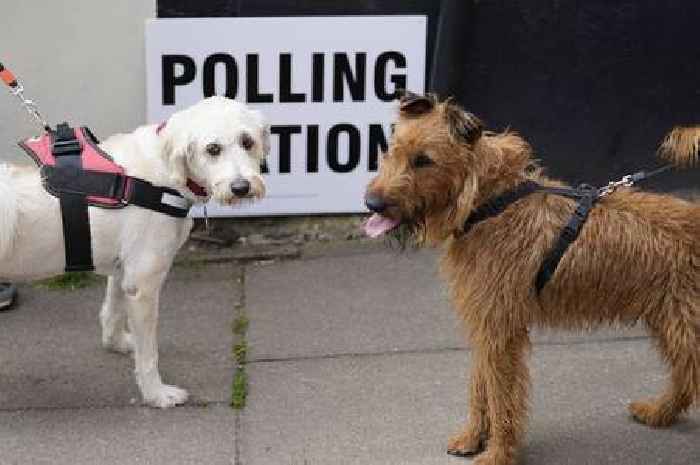 Cambridgeshire constituencies where number of 16-and-17-year-olds is big enough to swing an election