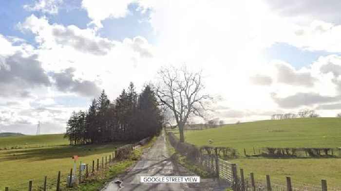 Man and dog die after van crash