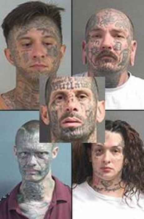 Friday Photo Fun Match Game