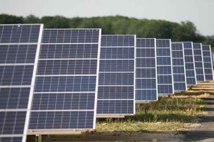 Luke Campbell 'delighted' as Hull & East Yorkshire secures new renewables fund