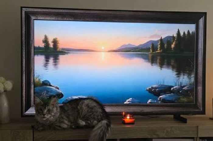 I tried free hack to make your living room look 'expensive' - it's amazing