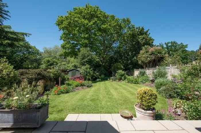 Gardeners told to follow 3 easy steps to keep lawns lush and green in any weather