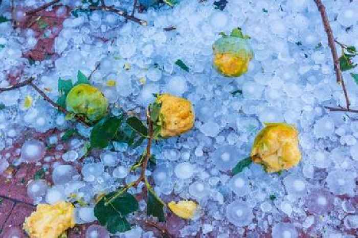 Thunder, lightning, 'large hail', gales and downpours in yellow alert