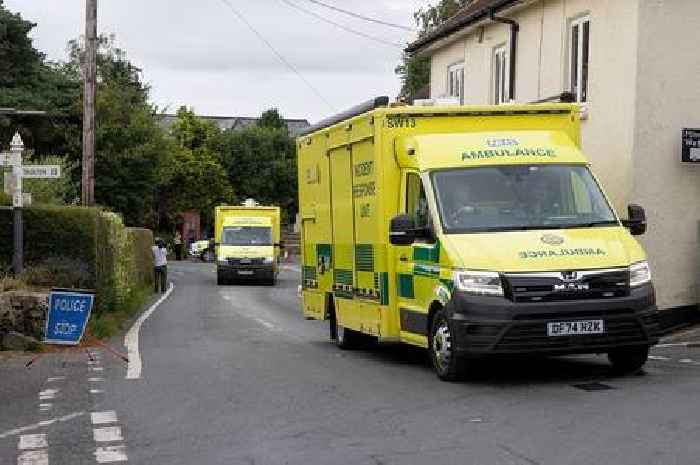 Minehead school bus crash: Tributes pour in after child dies