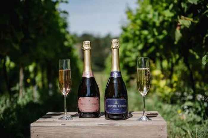 Somerset wine snub sparks fury as tax breaks skip small vineyards