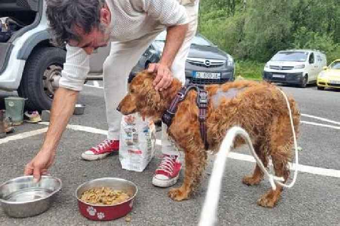 Dog reunited with relieved owners after going missing and spending night on Conic Hill