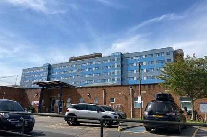 Cockroach infestation shuts kitchen of major Welsh hospital