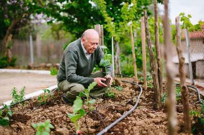 Gardeners told 'take action' over weed could see them prosecuted