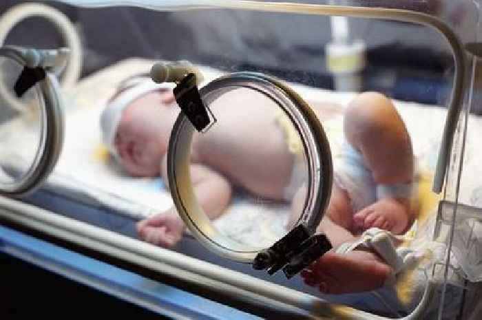 New jab to be offered to premature babies in Wales
