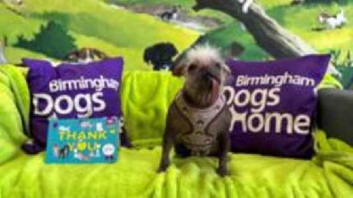 Film star pooch brings donations to rescue centre