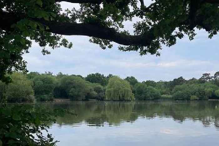 The Surrey lake walk full of wildlife where turtles have been spotted