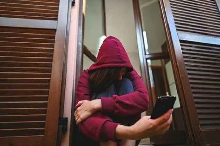 Millions receiving HMRC tax letters told they are 'perfect cover'