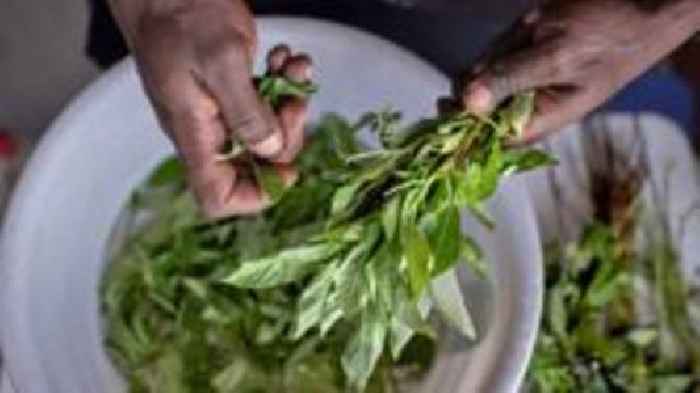Forgotten 'weeds' prove a culinary hit in Kenya