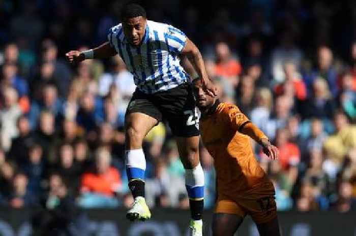 Hull City close in on defender as Tigers to pounce after Sheffield Wednesday exit