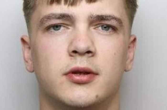 Driver on laughing gas who killed 81-year-old locked up for 11 years